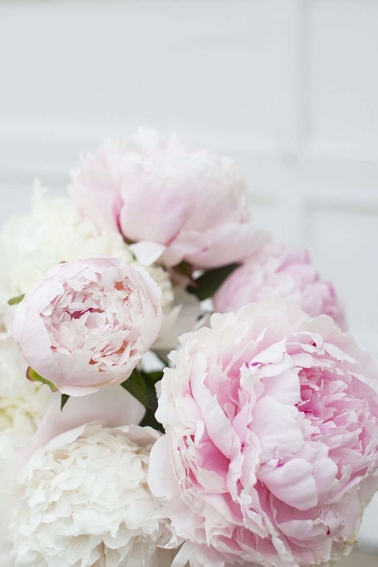 Flowers-bg